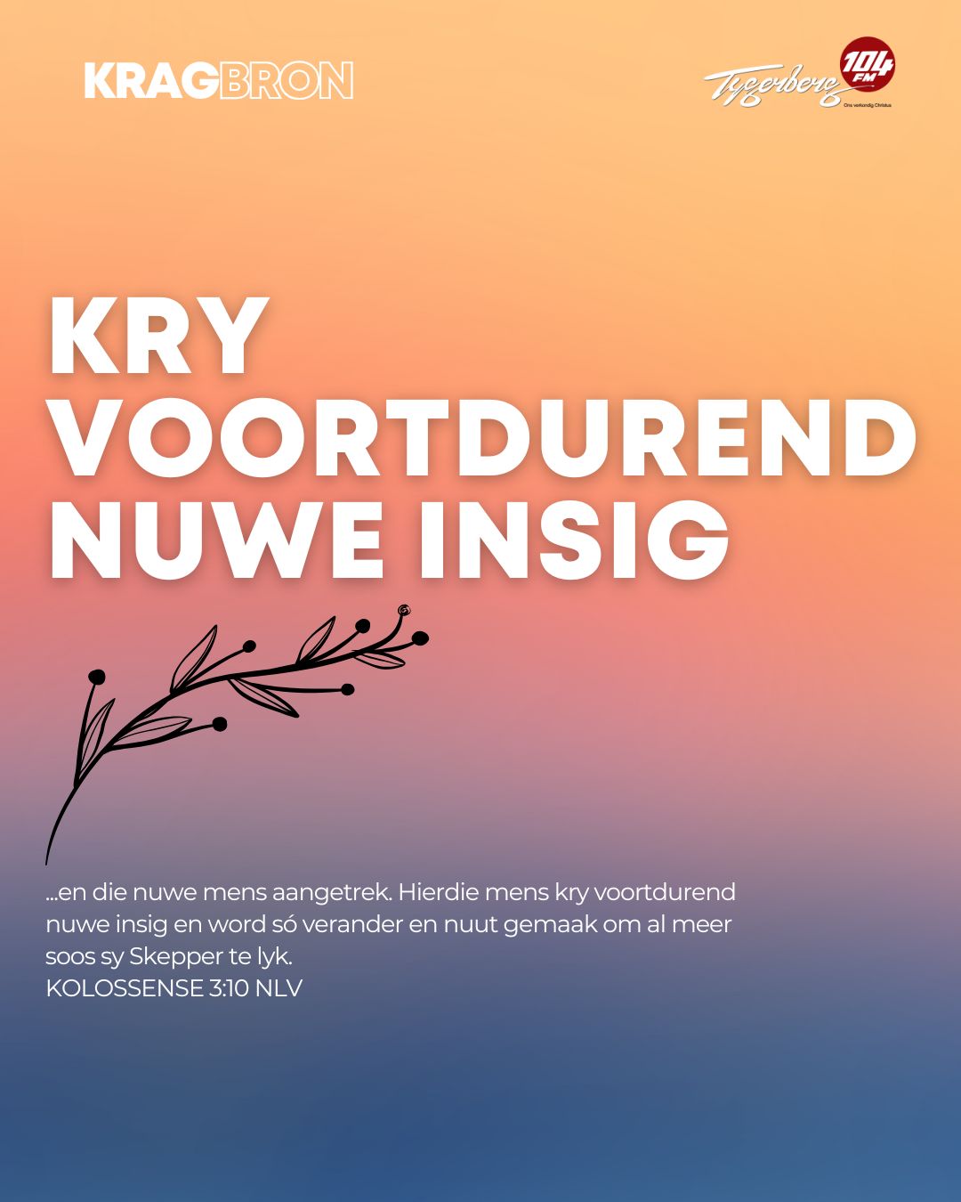 Kry voortdurend nuwe insig | KOLOSSENSE 3:10