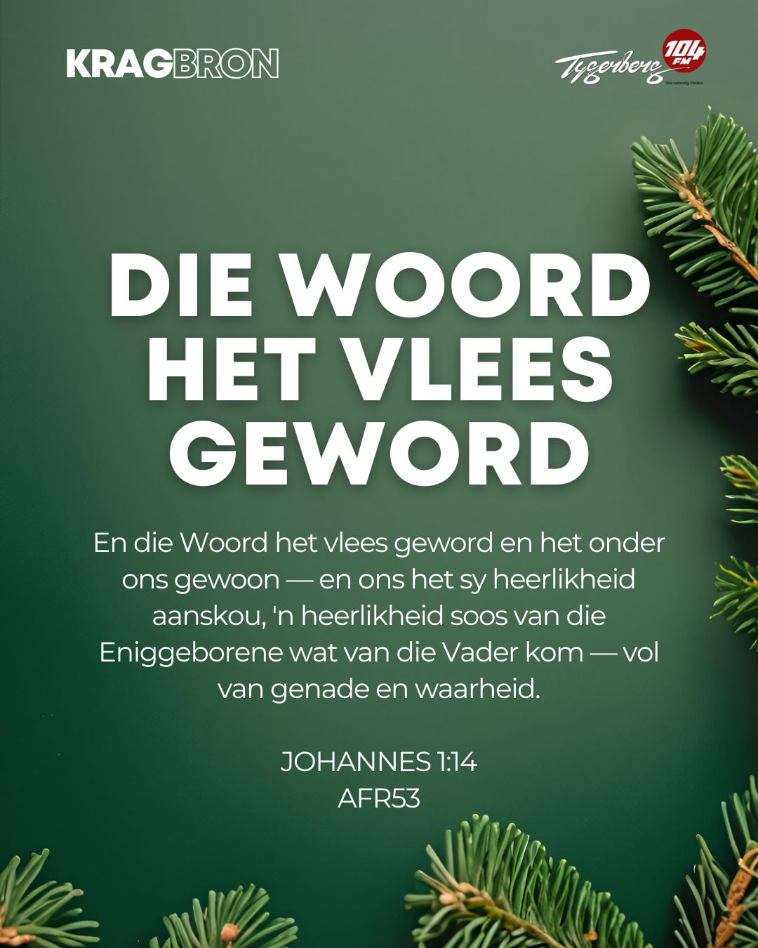 Die woord het vlees geword | JOHANNES 1:14